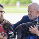 Lula lança RG animal para cães e gatos