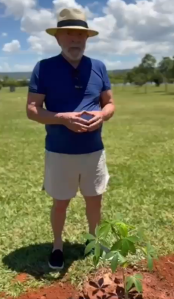 Lula planta sumaúma em área do Palácio da Alvorada