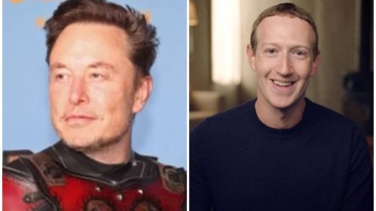 Lutadores se ofereceram para treinar Elon Musk e Mark Zuckerberg