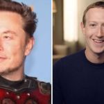Elon Musk x Mark Zuckerberg: lutadores se oferecem para treinar bilionários
