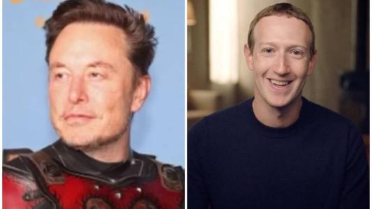 Lutadores se ofereceram para treinar Elon Musk e Mark Zuckerberg