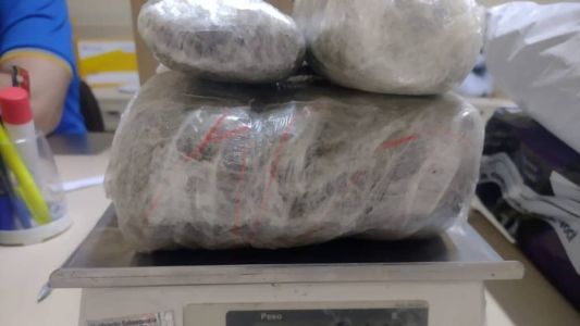 Maconha estava embrulhada em plástico transparente