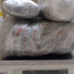 Homem é preso após receber quase um quilo de maconha pelo correio