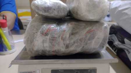 Maconha estava embrulhada em plástico transparente