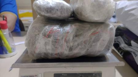 Maconha estava embrulhada em plástico transparente