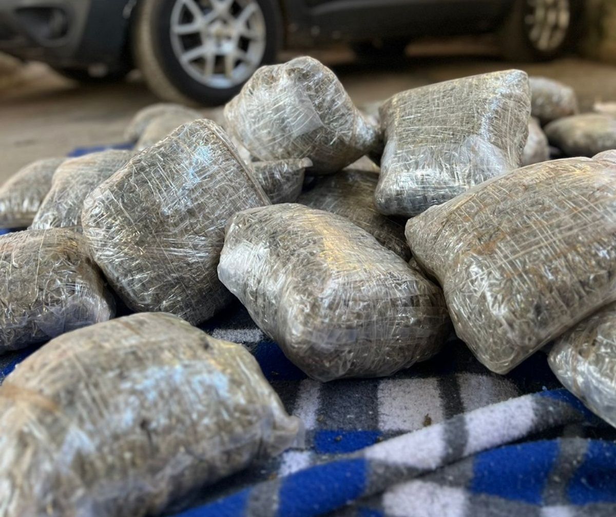Polícia apreende 40 kg de 'maconha premium' em MG: ‘qualidade elevada’