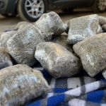 Polícia apreende 40 kg de 'maconha premium' em MG: ‘qualidade elevada’