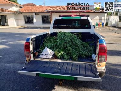 Homem é preso com 4,4 kg de maconha no aeroporto do Galeão | CNN Brasil