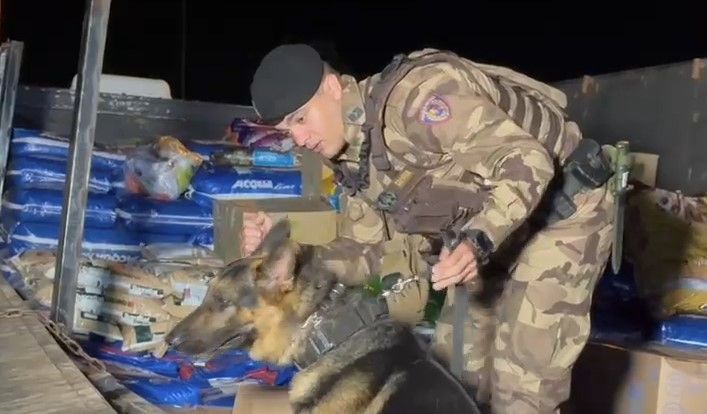 Vídeo: cão da PM encontra mais de meia tonelada de maconha e cocaína em carreta na Grande BH