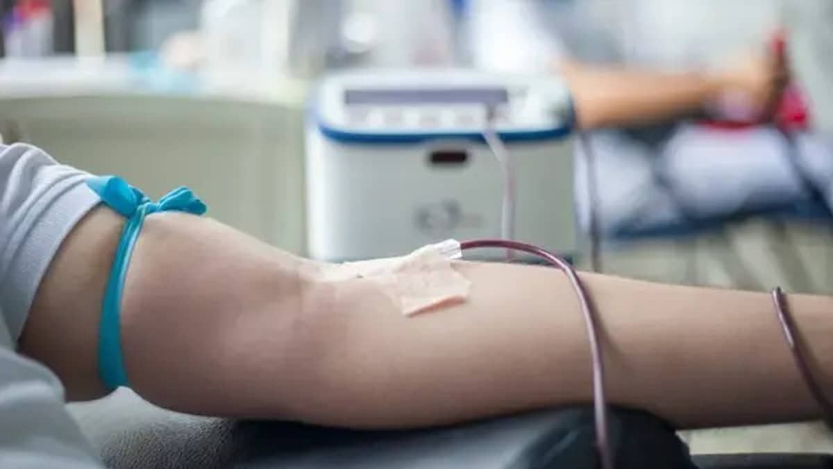 Unidades da Hemominas alteram funcionamento no feriado; veja mudanças