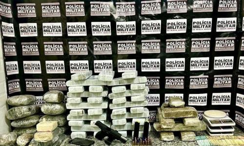 Mais de 50 tabletes de maconha, arma e munições apreendidos em Guidoval
