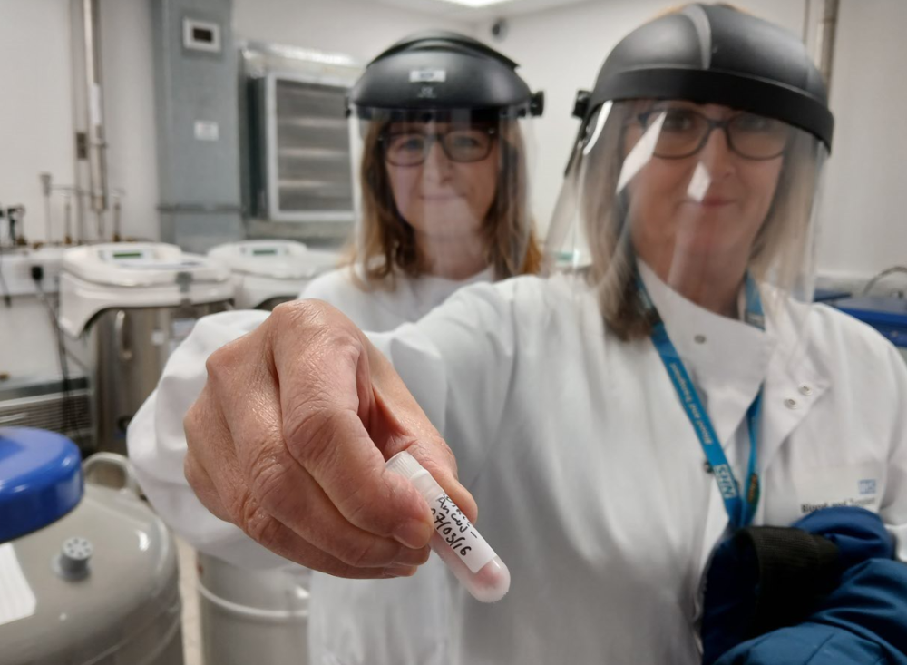 Cientistas descobrem novo grupo sanguíneo após 50 anos de mistério