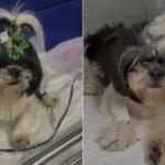 Petiscos contaminados: polícia cumpre mandados de busca e apreensão em empresas de Minas Gerais e São Paulo