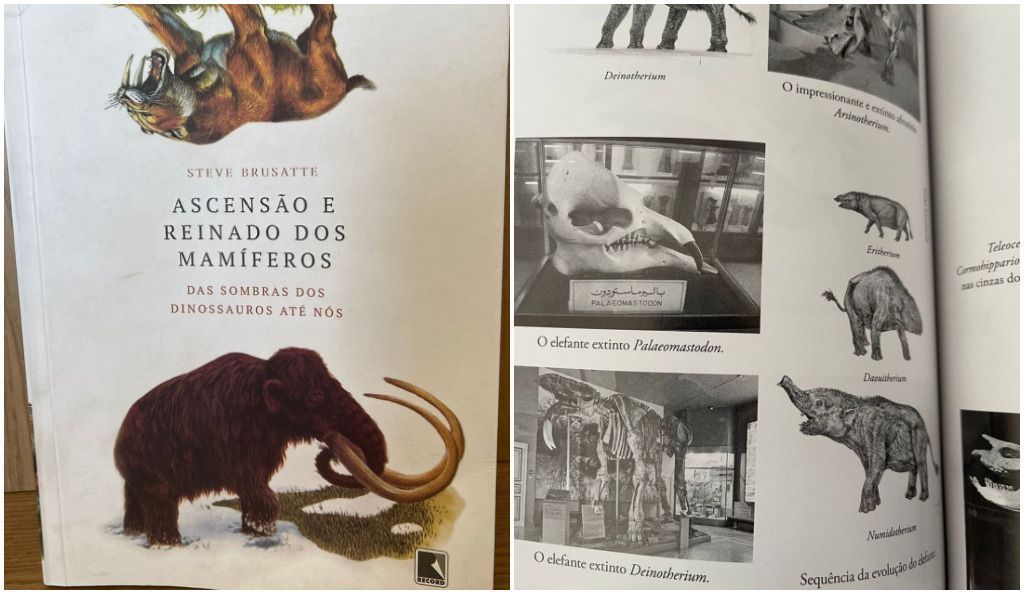 Livro “Ascensão e Reinado dos Mamíferos” conta a louca e improvável história da evolução dos animais