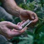Entidades criticam projeto que cria multas para quem for flagrado usando drogas ilícitas nas ruas de BH