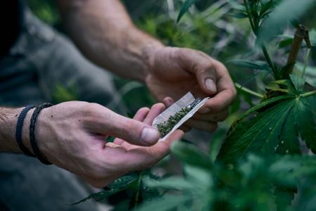 homem enrolando cigarro de maconha
