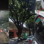 Mangas despencam sobre táxis na Avenida Alfredo Balena, em BH, e causam prejúizo