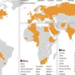 Gripe aviária no Brasil vai refletir no mundo inteiro