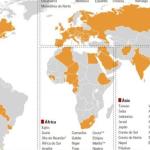 Gripe aviária no Brasil vai refletir no mundo inteiro