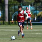 Lateral volta ao gramado com elenco do Palmeiras após Copa do Brasil