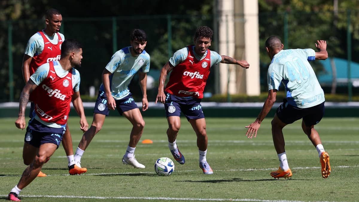 Palmeiras inicia preparação para enfrentar o Atlético