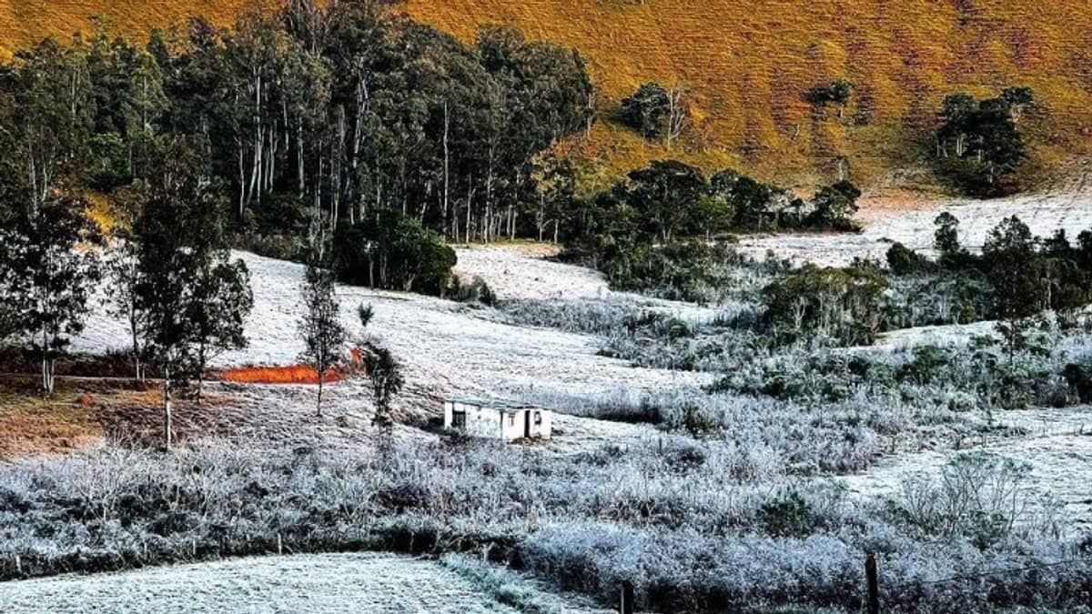 Minas Gerais tem três cidades entre as mais frias do Brasil nesta quarta-feira   