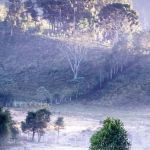 Geada pode atingir dezenas de cidades de Minas; veja quais