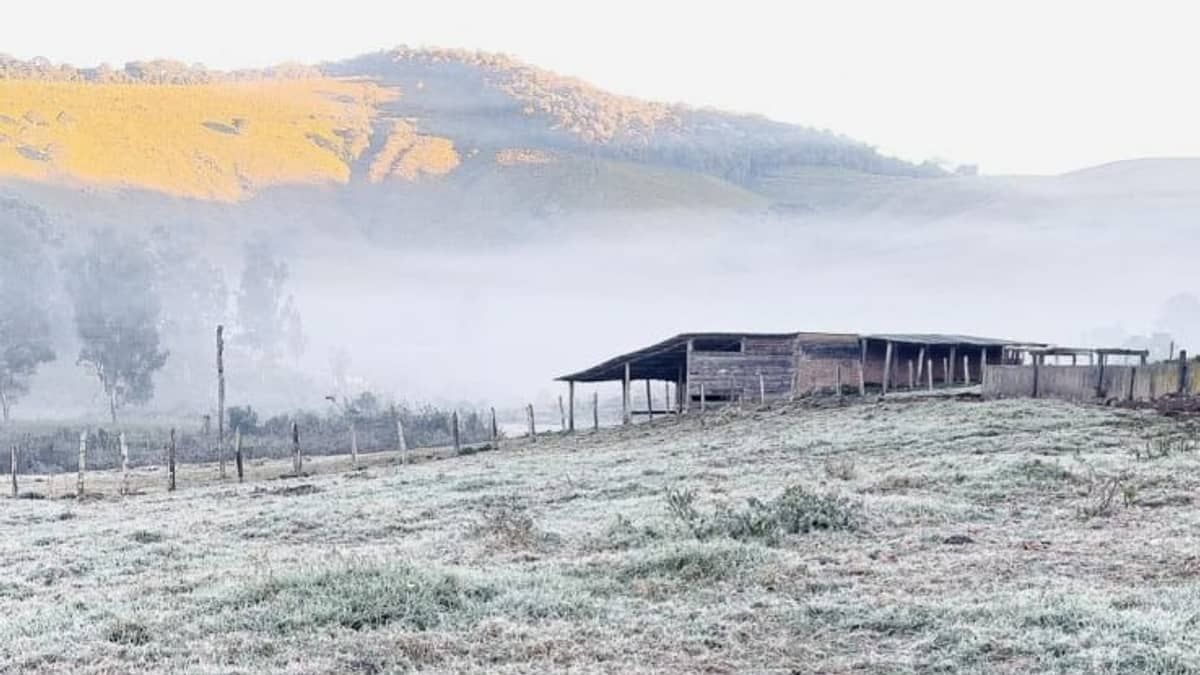 Previsão do tempo: massa de ar frio e seco atinge o estado e contribui  para formação de geadas   
