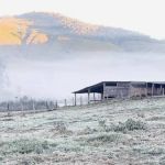 Previsão do tempo: massa de ar frio e seco atinge o estado e contribui  para formação de geadas   