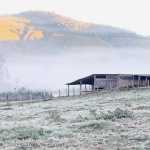 Previsão do tempo: massa de ar frio e seco atinge o estado e contribui para formação de geadas