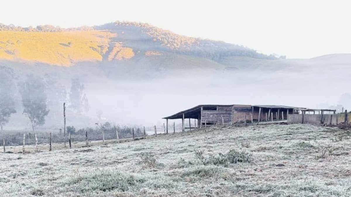 Previsão do tempo: fim de semana terá geada em cidades de Minas  
