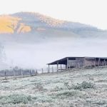 Previsão do tempo: fim de semana terá geada em cidades de Minas  