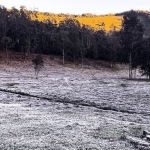 Geada pode atingir quase 80 cidades de Minas Gerais; veja quais
