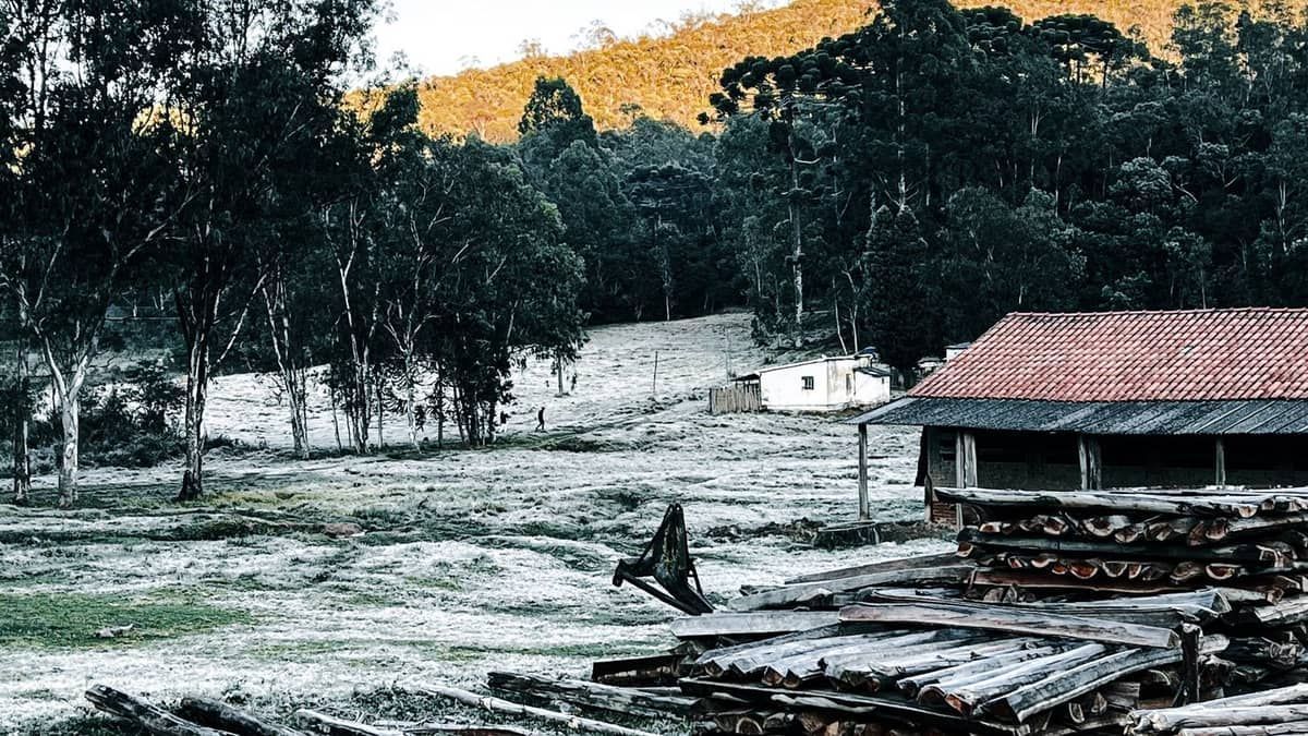 Vídeo: geada atinge cidade do Sul de Minas e temperatura chega a menos 1,6ºC
