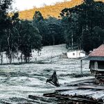 Vídeo: geada atinge cidade do Sul de Minas e temperatura chega a menos 1,6ºC