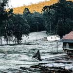 Vídeo: geada atinge cidade do Sul de Minas e temperatura chega a menos 1,6ºC