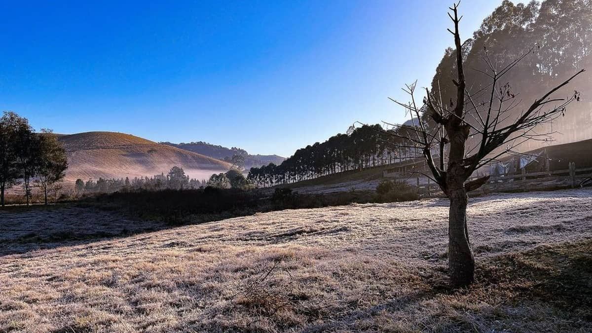 Previsão do tempo: cidades de Minas amanhecem geladas com temperaturas de 1°C