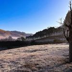 Previsão do tempo: cidades de Minas amanhecem geladas com temperaturas de 1°C