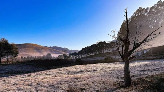 Maria da Fé tem madrugada mais gelada do ano em Minas Gerais
