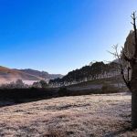 Previsão do tempo: cidade de Minas tem madrugada mais fria do ano