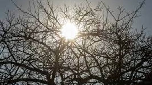 Massa de ar seco segue atuando sobre o estado