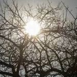 Quais as consequências da crise climática que o Brasil está enfrentando? Especialistas debatem 