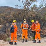 Incêndio na Mata do Baleia é controlado, mas hospital mantém atendimentos suspensos