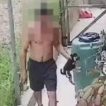 Estudante de veterinária é indiciado após matar filhotes de cachorro com marteladas