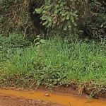 Suspeito de crimes morre em confronto com a PM no Campo das Vertentes