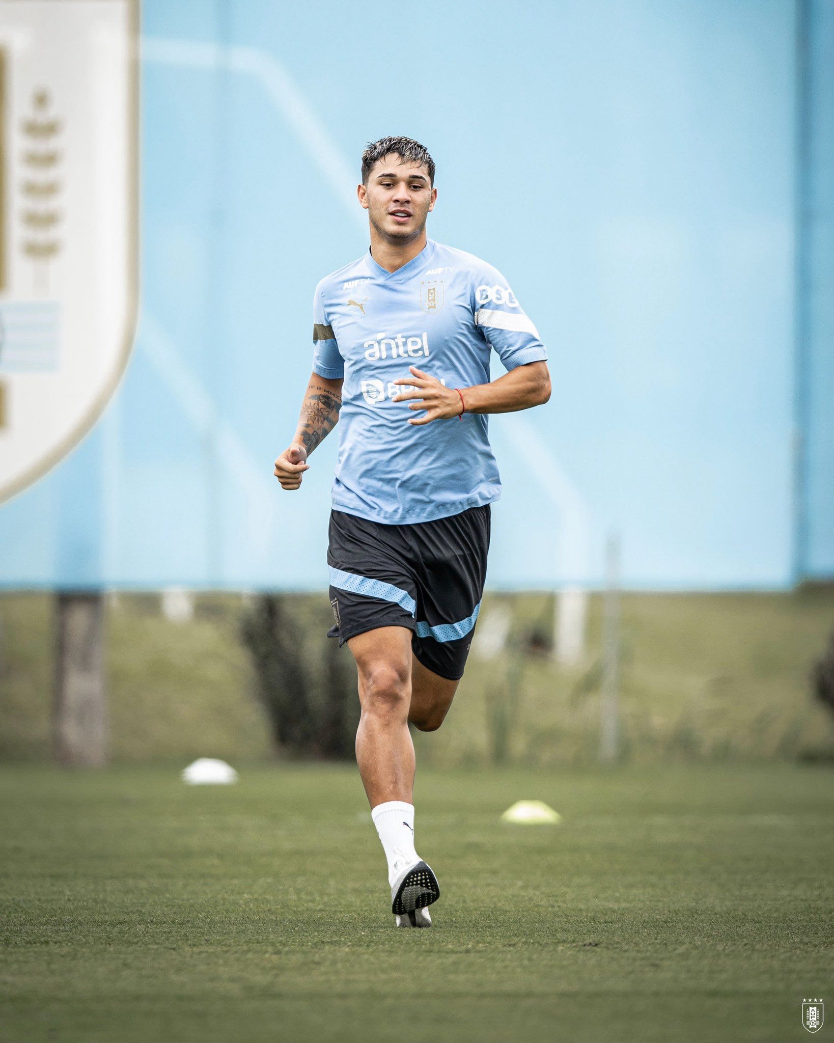 Mateo Ponte, da Seleção do Uruguai, pode desfalcar o Botafogo em 12 jogos; entenda