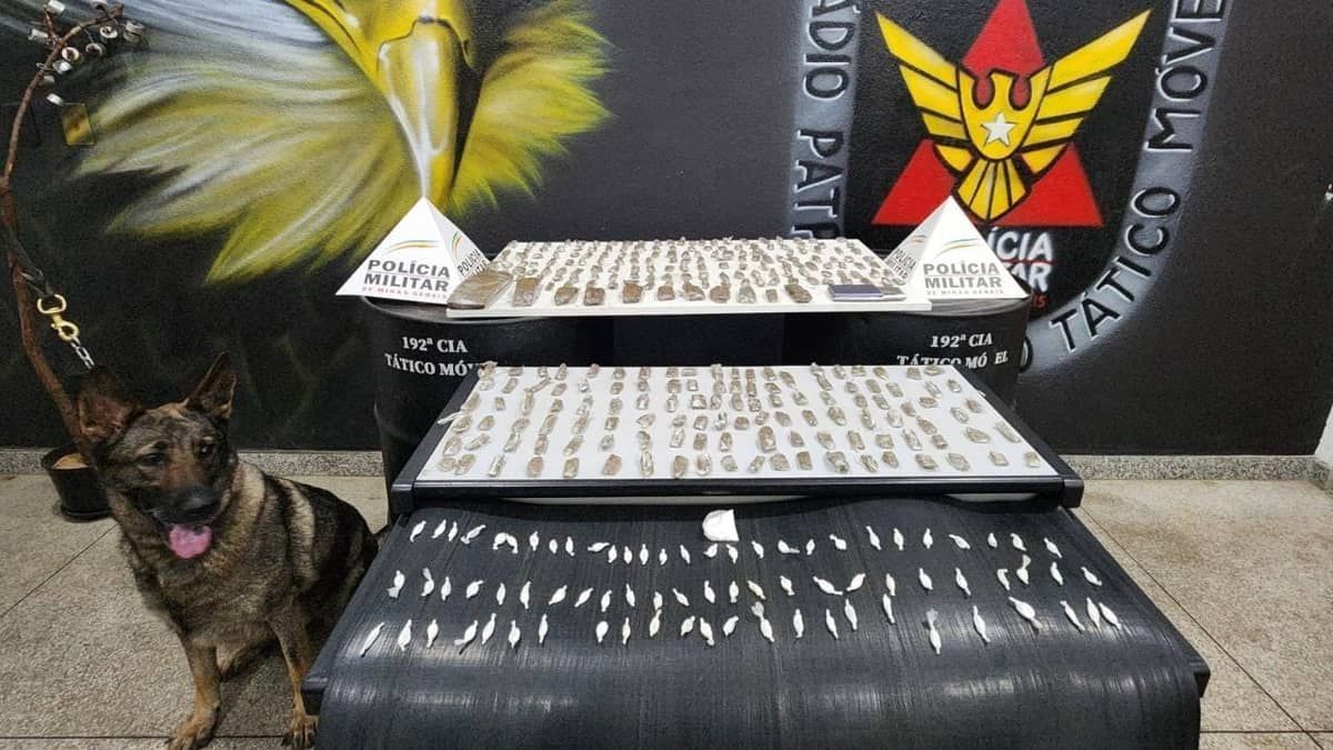 Polícia apreende grande quantidade de drogas em Sete Lagoas (MG)