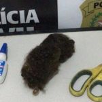 Homem é preso por colar as partes íntimas da companheira em Minas