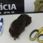 Homem é preso por colar as partes íntimas da companheira em Minas