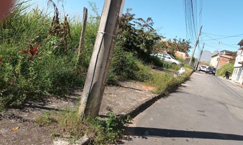 mato alto bairro jardim de alá juiz de fora